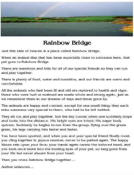 rainbowbridgeweb.jpg